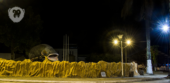 En Morelia se cocinará la perforación petrolera en el Caquetá, Fotografía kamilo Ardila