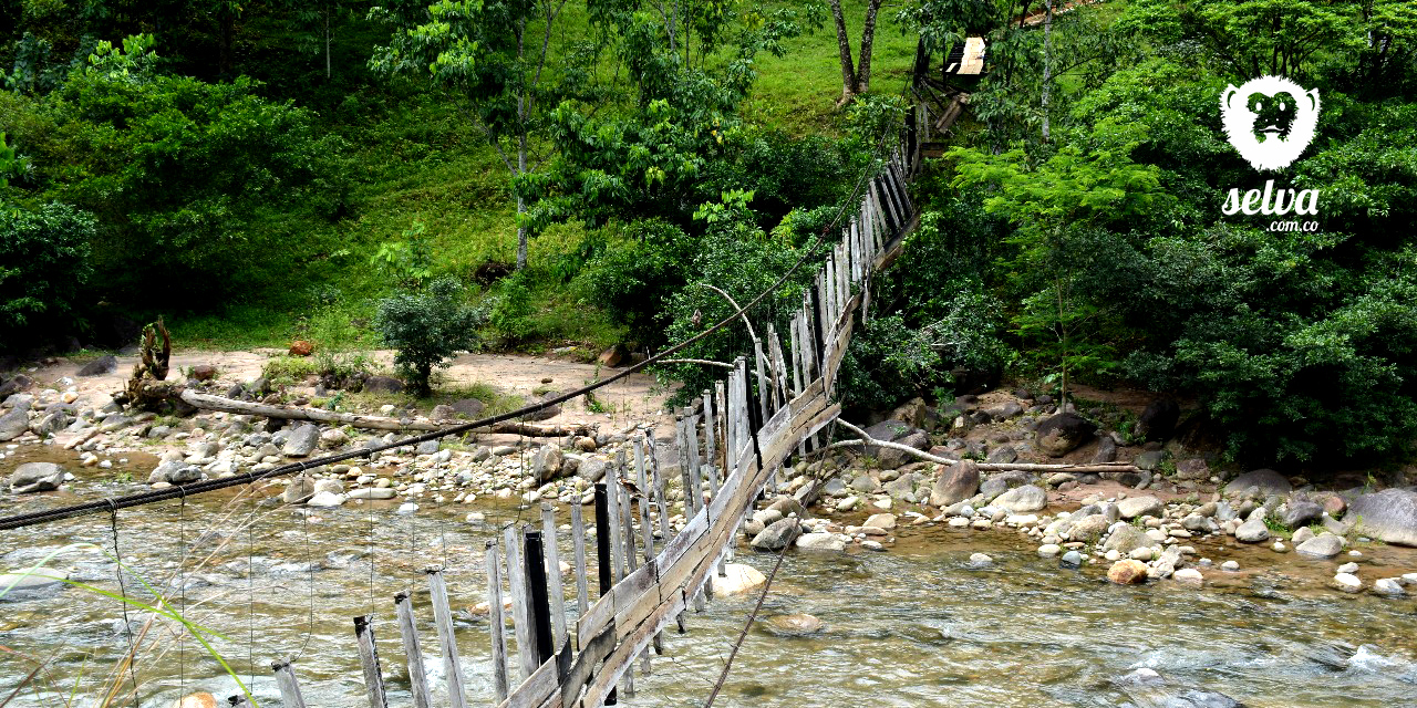 Puente colgante que colapsó en la quebrada la Yuca, vereda Damas Abajo