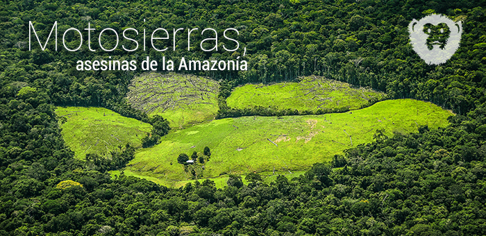 Motosierras, asesinas de la Amazonía