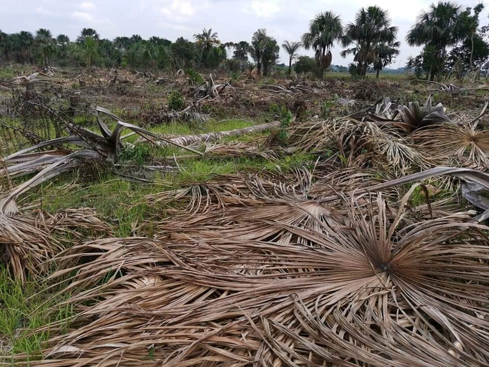 Destruyen humedal en parque natural de Belén